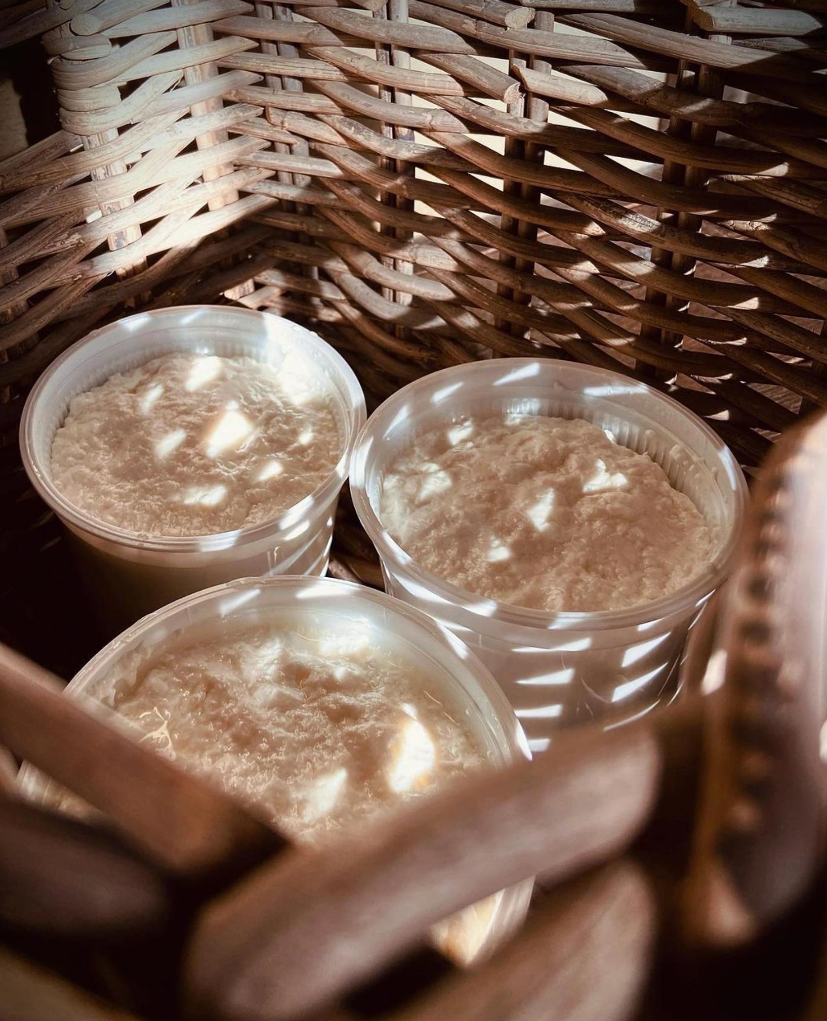 Fromages de chèvre dans un panier en bois aux Oliviers de Palombaggia en Corse-du-Sud.