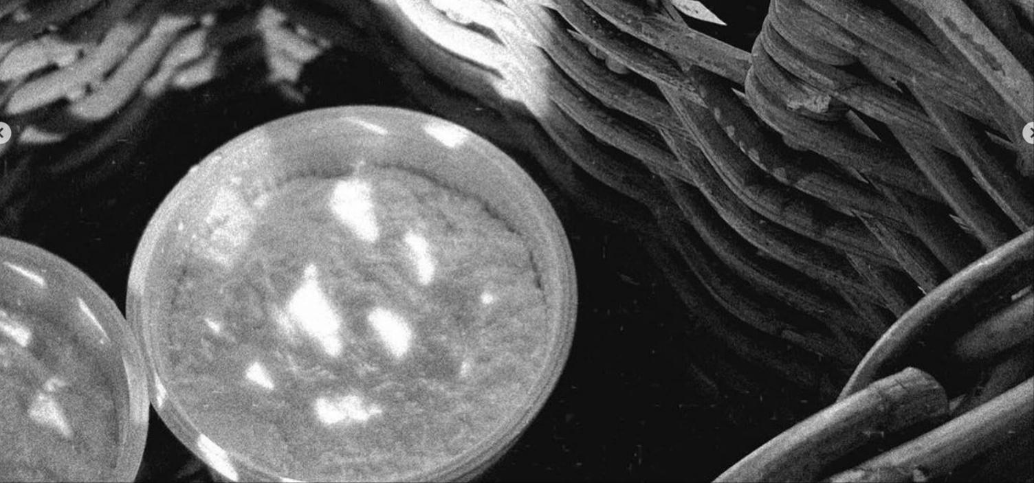 Fromage de chèvre dans un panier en bois aux Oliviers de Palombaggia en Corse-du-Sud.