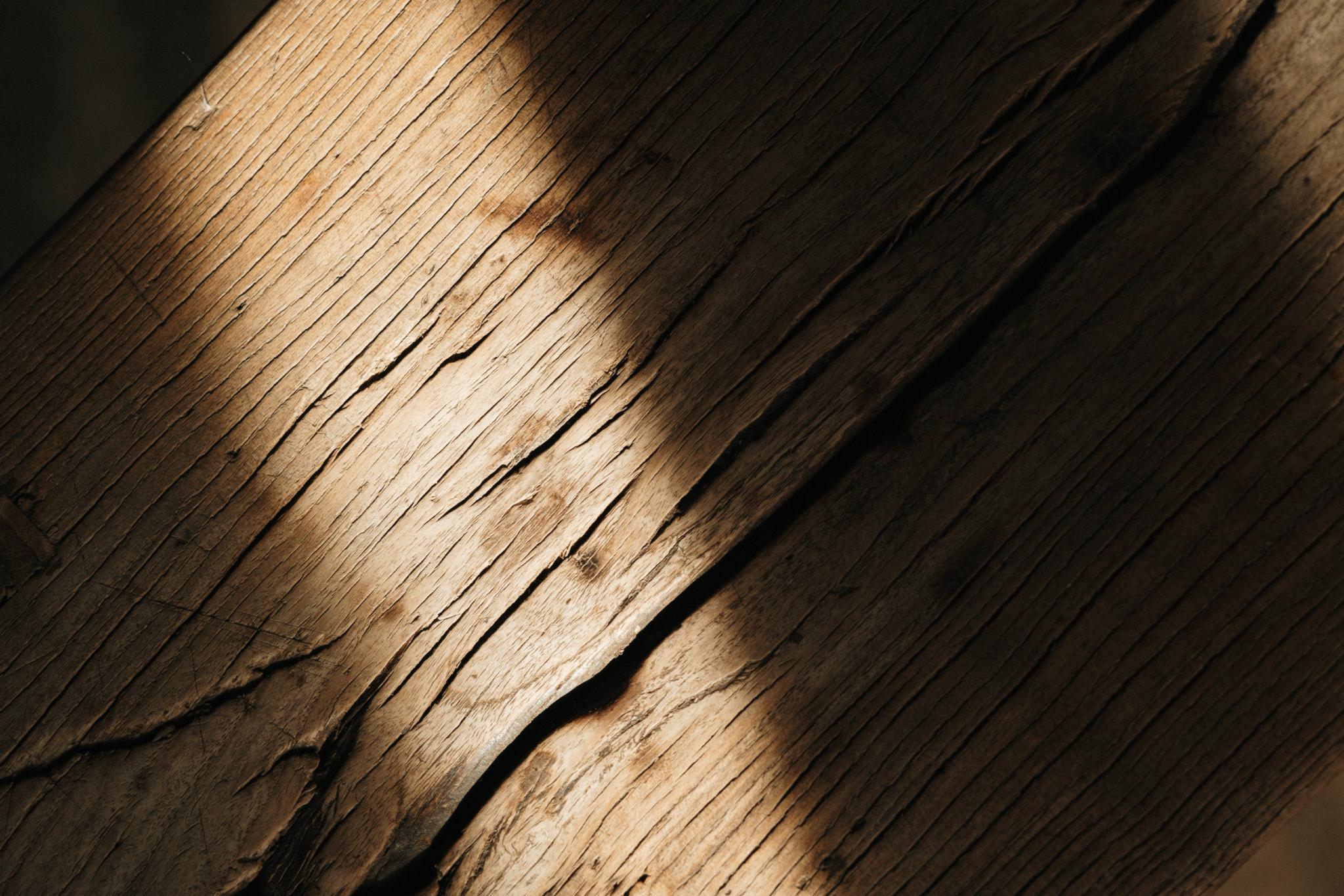 Planches de bois avec ombre dessus aux Oliviers de Palombaggia en Corse-du-Sud.
